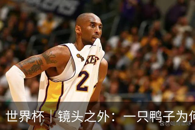 世界杯｜镜头之外：一只鸭子为何火遍世界杯？